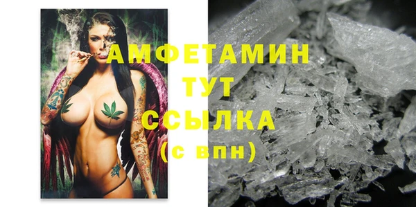 дмт Алзамай