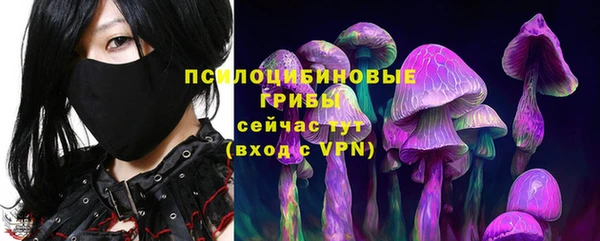 дмт Алзамай