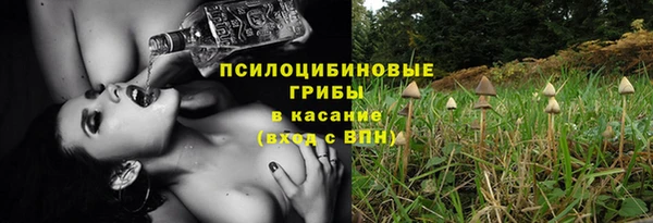 соль ск Алексин