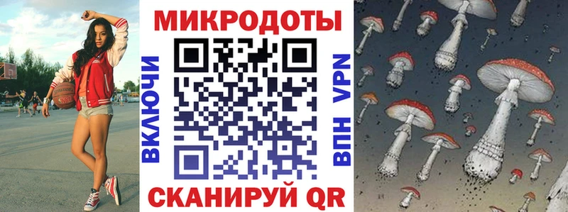 площадка как зайти  Далматово  Галлюциногенные грибы мухоморы 