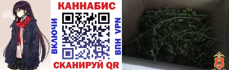 Бошки Шишки индика  Далматово 